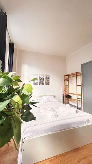 Le Cocon Apartment มงโตบ็อง ภายนอก รูปภาพ